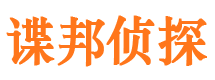 灵武侦探公司